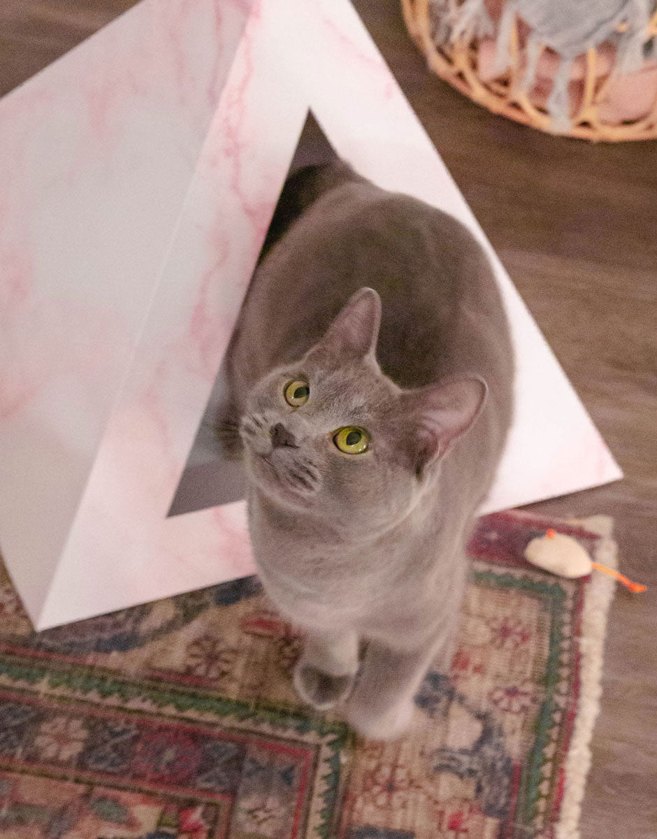 'Rose Quartz' Cardboard Cat Pyramid KittyKardboard