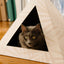 'Neutral Palm' Cardboard Cat Pyramid KittyKardboard