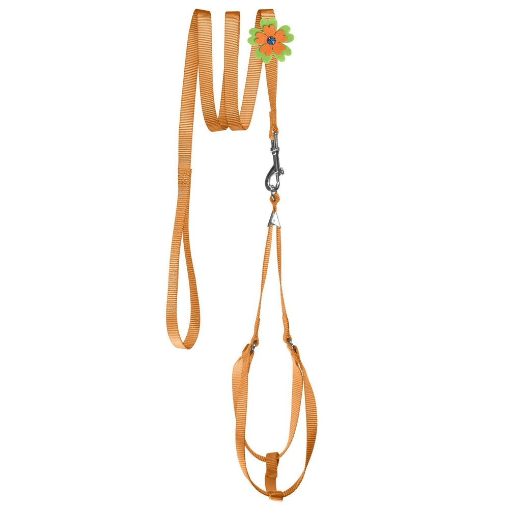 Step-In Nylon Dog Harness + Optional Flower Dog Leash Orange Dog Harnesses Dogline