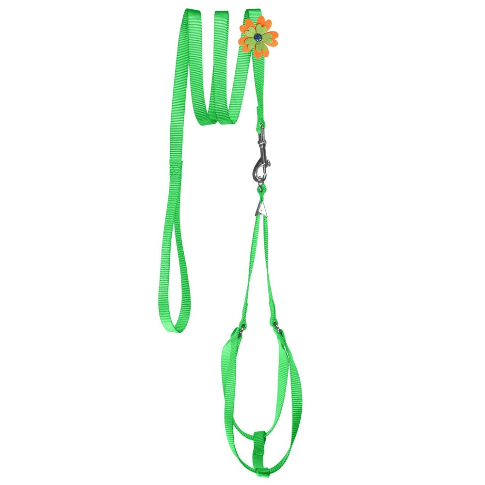 Step-In Nylon Dog Harness + Optional Flower Dog Leash Lime Green Dog Harnesses Dogline