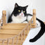 Double Cat Hammock and Climbing Bridge Combo Cat Bridge Catastrophic Creations