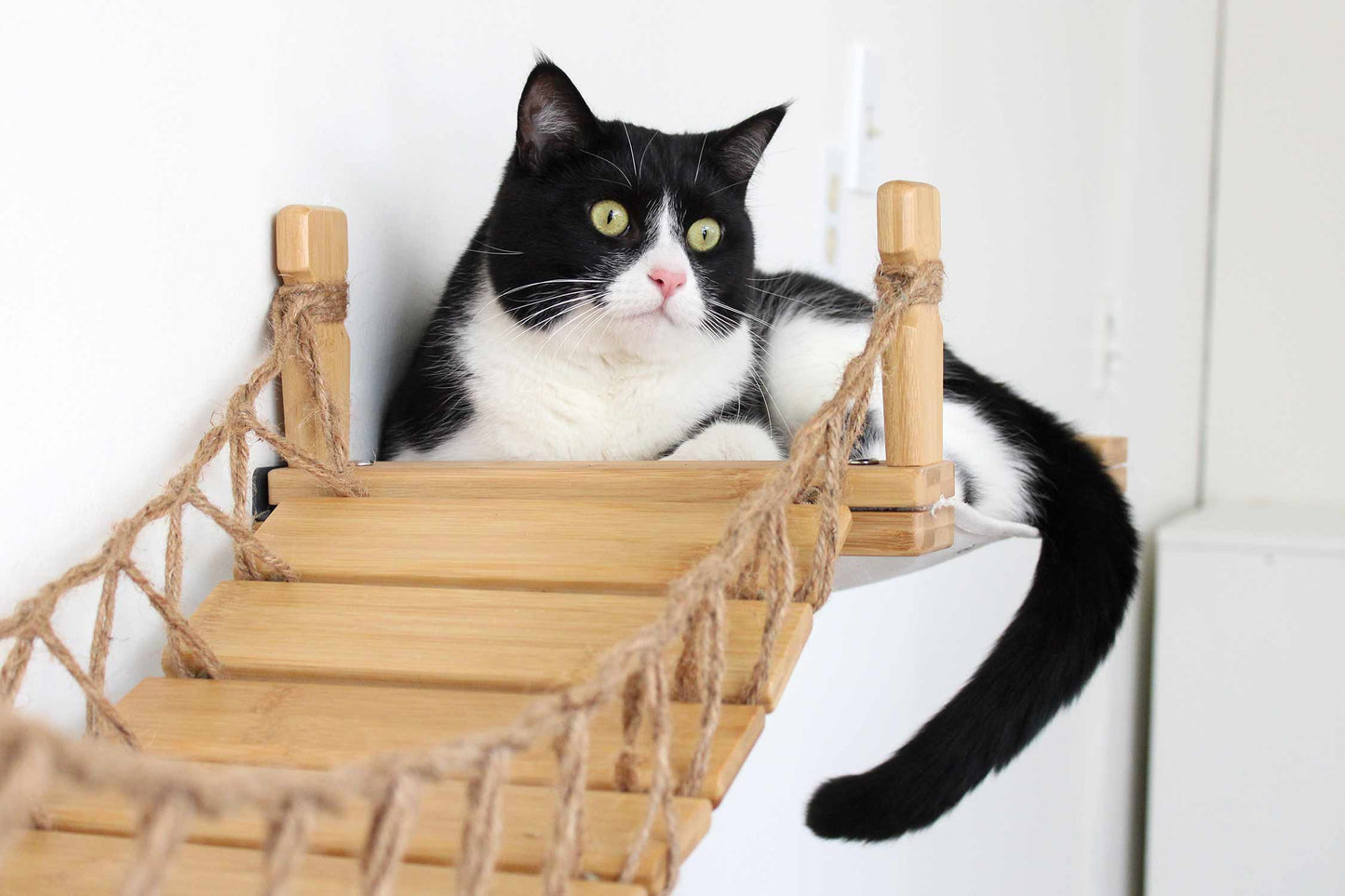Double Cat Hammock and Climbing Bridge Combo Cat Bridge Catastrophic Creations