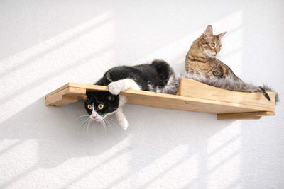 The Cat Nest Bed Natural Bamboo Gray Plush 34" Escape Hatch Cat shelves/bed Catastrophic Creations