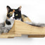 The Cat Nest Bed Natural Bamboo Gray Plush 18" Solid Shelf Cat shelves/bed Catastrophic Creations