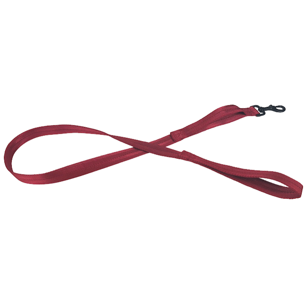 Nylon Flat Leash + Built-in Traffic Handle Red 1" Dog Collar Dogline