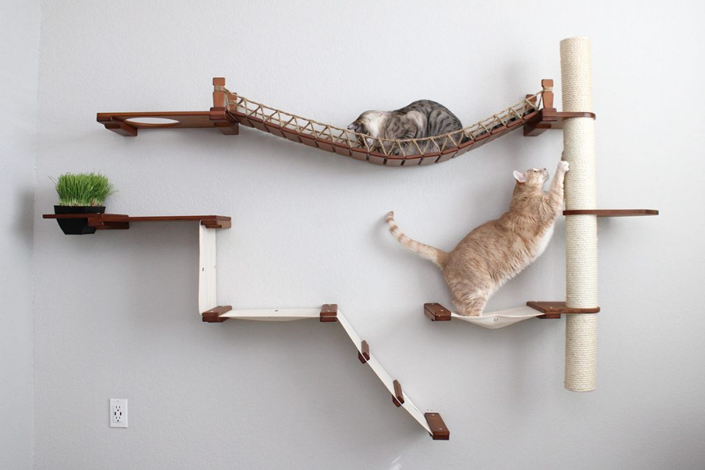 The Expedition - Cat Jungle Gym Wall System Cat Condo Catastrophic Creations
