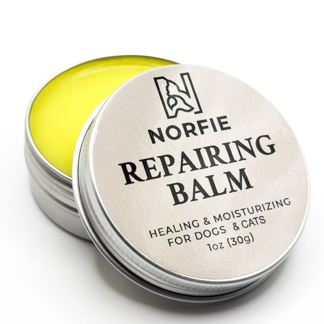 Norfie Repairing Balm – Natural Healing Balm for Paws, Noses & Elbows dog balm Norfie