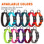 Nylon Flat Dog Collar Dog Collars Dogline