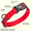 Nylon Flat Dog Collar Dog Collars Dogline