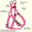 Nylon Flat Step-In Dog Harness Dog Harnesses Dogline