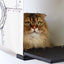 Cat Cubby for Wall - Covered Cat Bed Catastrophic Creations