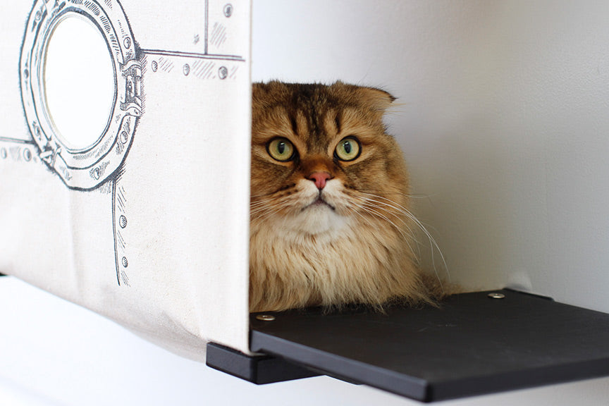 Cat Cubby for Wall - Covered Cat Bed Catastrophic Creations