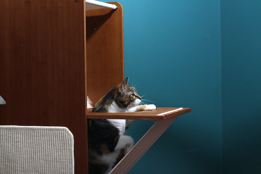 The Overlook - Sturdy - Bamboo Cat Tree Cat Condo Catastrophic Creations
