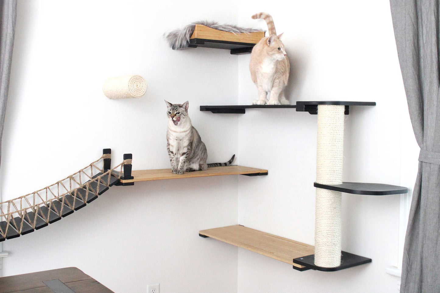 Cat Bridge for Wall Cat Bridge Catastrophic Creations
