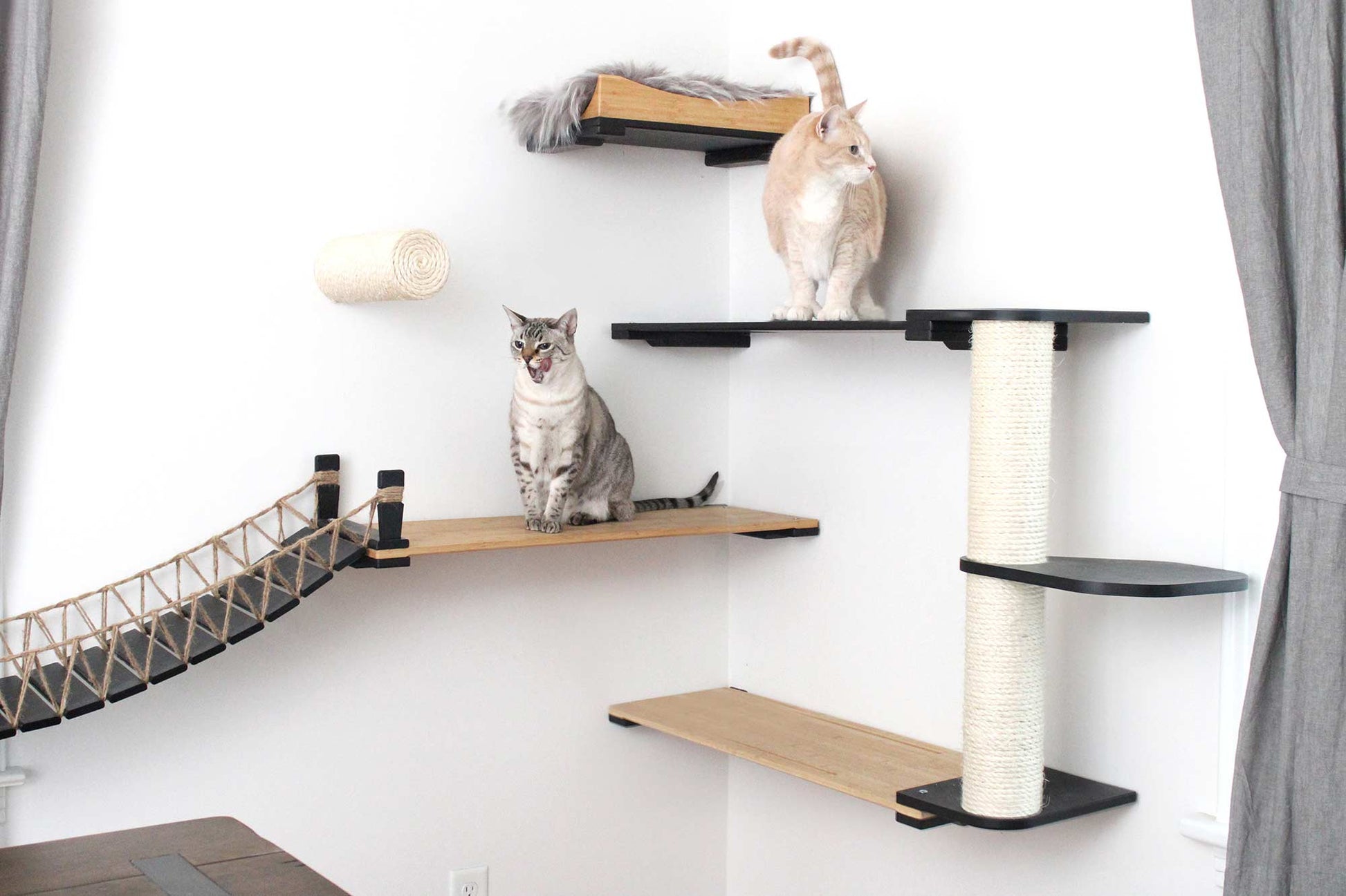 Cat Bridge for Wall Cat Bridge Catastrophic Creations