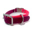 The Elegance Collar by Chief Treats Pink Purple Extra-Small 12" or less Dog Collar Chief’s Treats and Pet Supplies