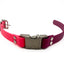 The Elegance Collar by Chief Treats Dog Collar Chief’s Treats and Pet Supplies