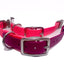 The Elegance Collar by Chief Treats Dog Collar Chief’s Treats and Pet Supplies