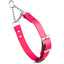 Biothane Adjustable Martingale Collar with Metal Buckle Passionfruit Pink Martingale Dog Collar Dogline