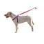 Comfort Microfiber Flat Step-In Dog Harness Dog Harnesses Dogline