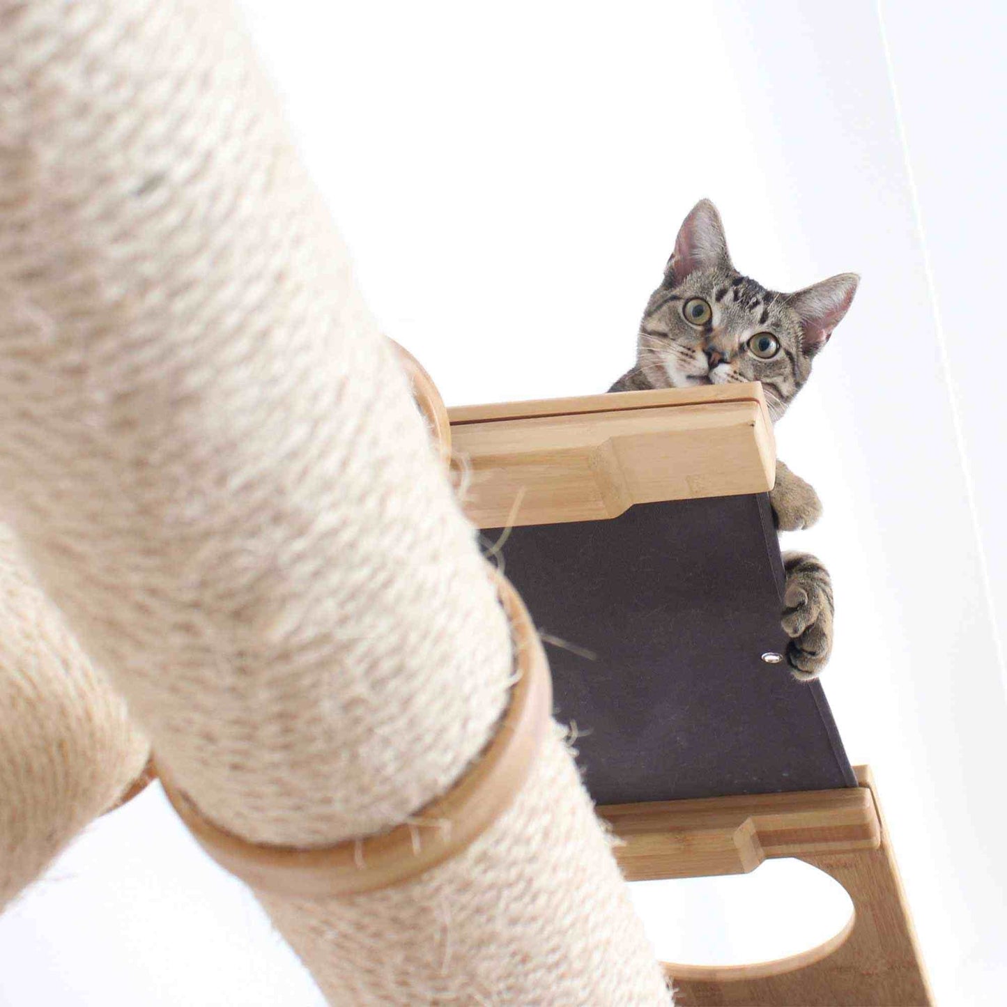 The Plateau - Horizontal Cat Scratcher Bed Set Cat Scratcher Catastrophic Creations