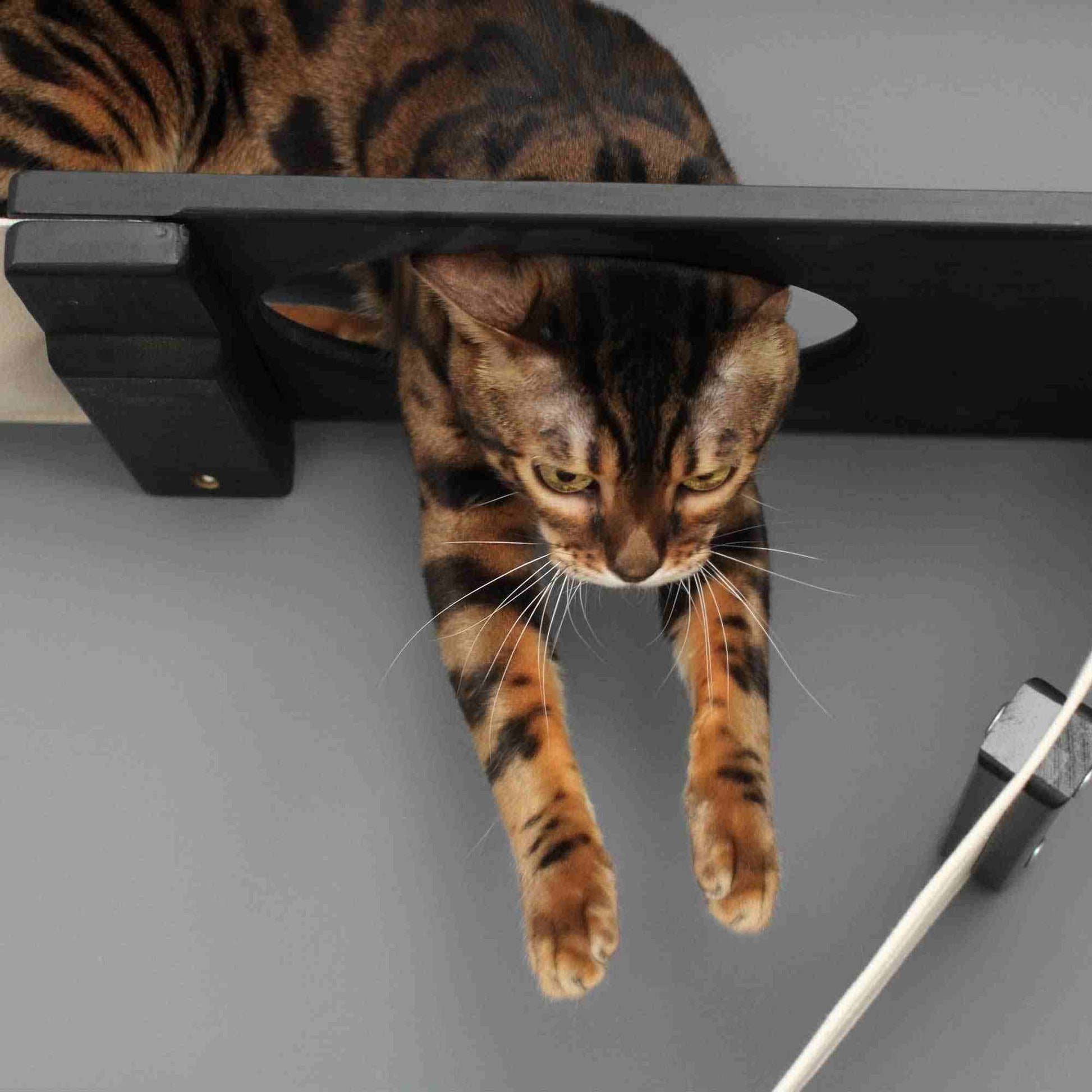 The Plateau - Horizontal Cat Scratcher Bed Set Cat Scratcher Catastrophic Creations