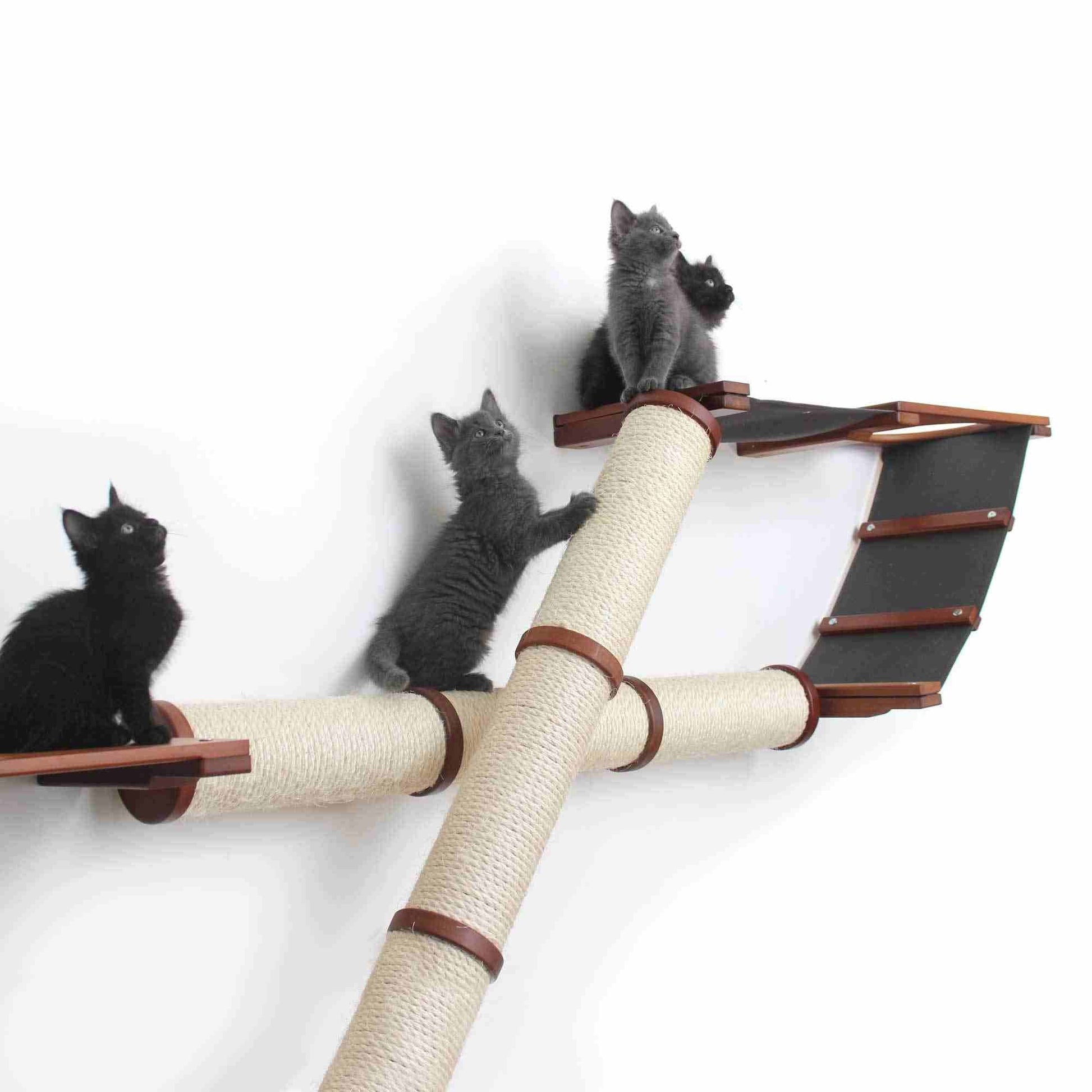 The Plateau - Horizontal Cat Scratcher Bed Set Cat Scratcher Catastrophic Creations