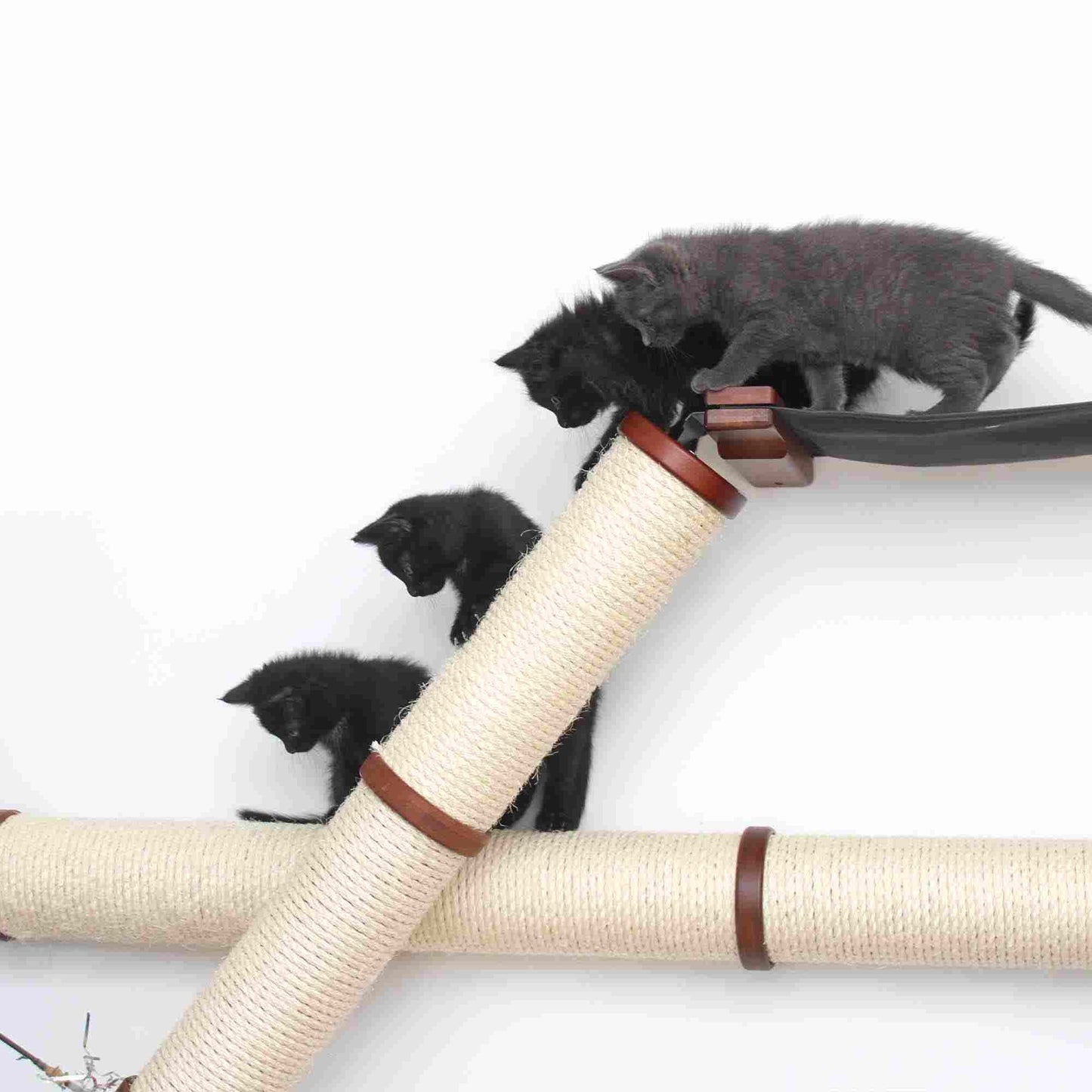 The Plateau - Horizontal Cat Scratcher Bed Set Cat Scratcher Catastrophic Creations