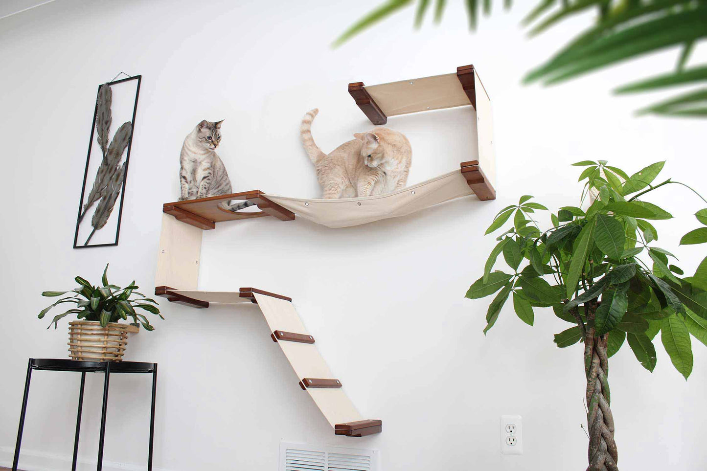 The Play - A Cat Play Wall System Cat Condo Catastrophic Creations
