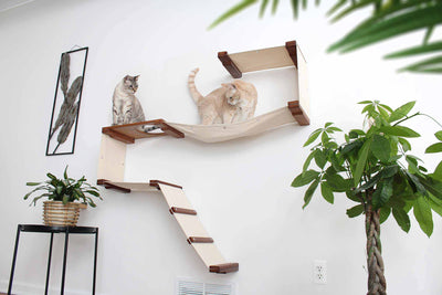 The Play - A Cat Play Wall System Cat Condo Catastrophic Creations