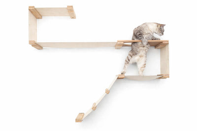 The Play - A Cat Play Wall System Cat Condo Catastrophic Creations