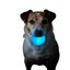 Strobe Ball Light-Up Dog Toy - Durable Floating Chew Ball | Made in USA Rubber Dog Toys SodaPup/True Dogs, LLC