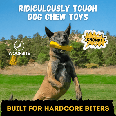 Power Stick Monster K9 Dog Toys