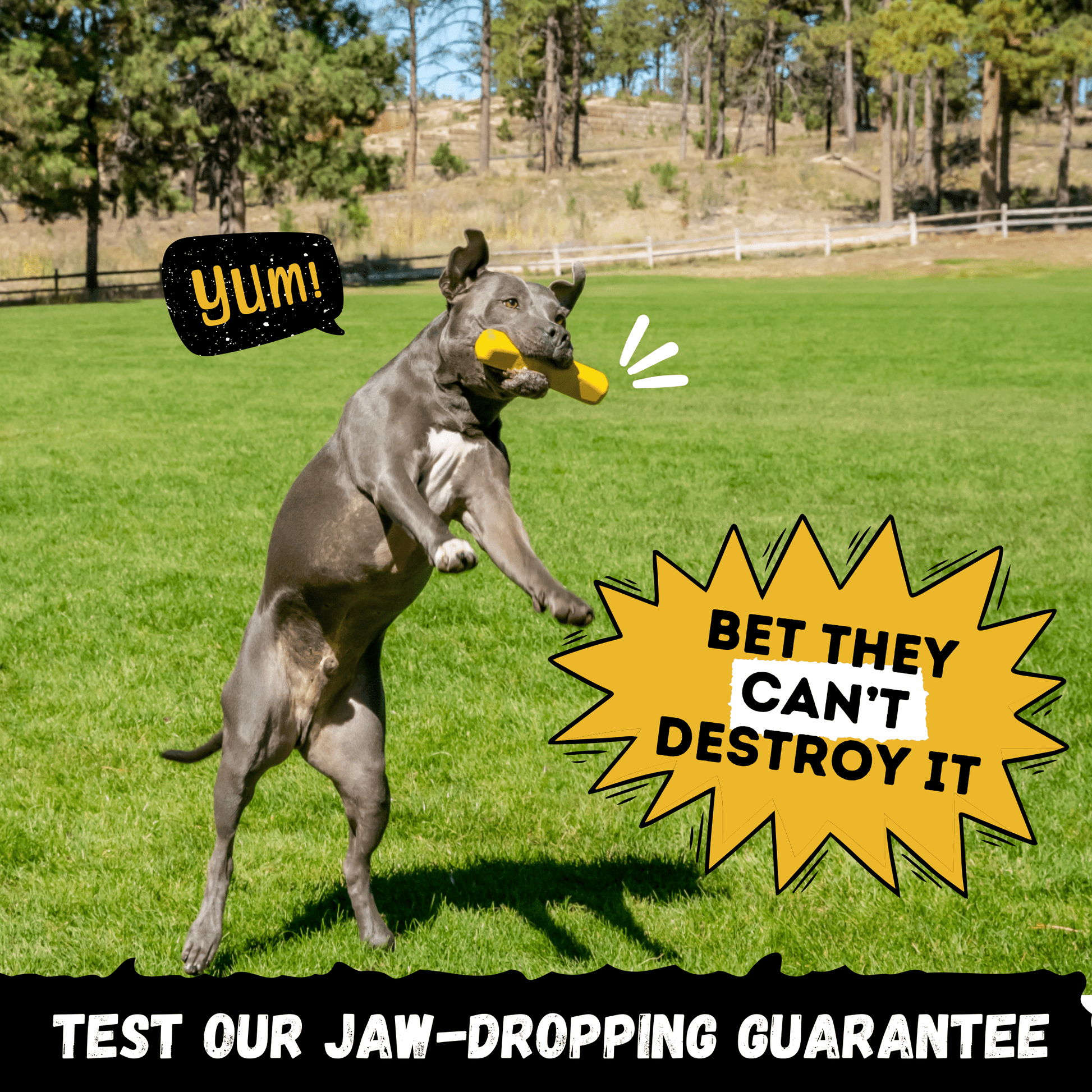 Power Stick Monster K9 Dog Toys