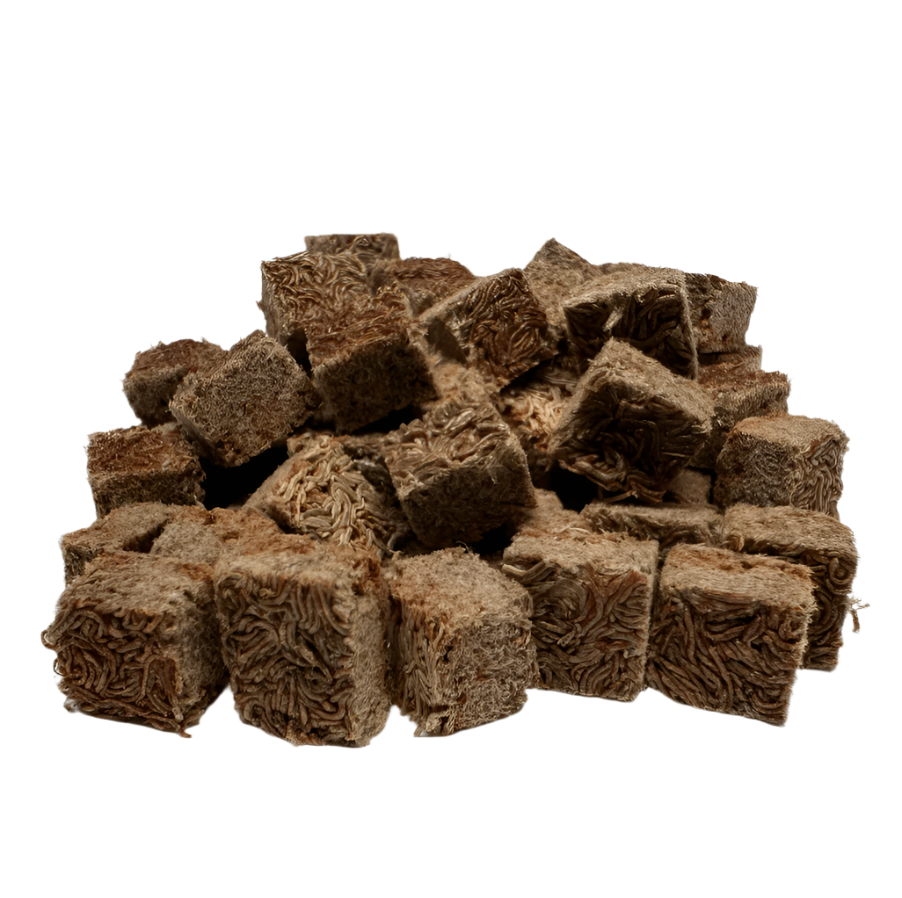 Super Cichlids Freeze-Dried Blackworms with Color Boost (All Natural, High Protein Fish Food) Fish Food Super Cichlids