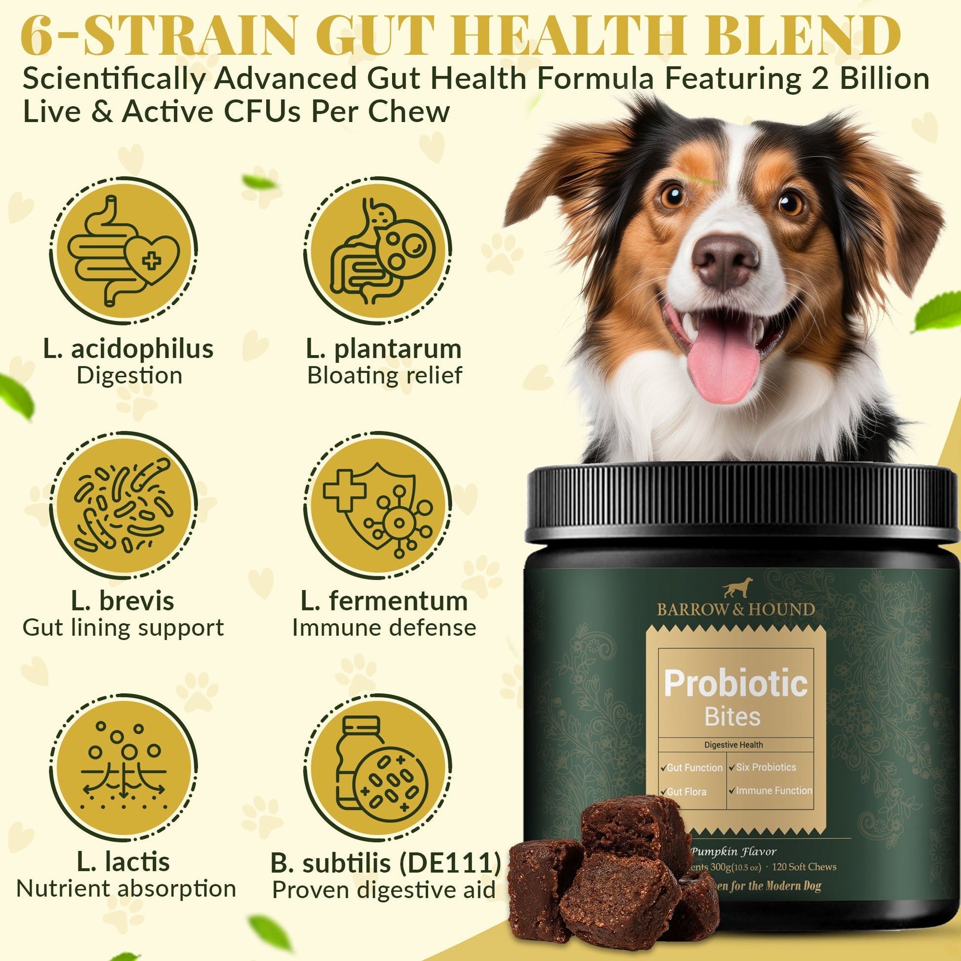 Probiotic Bites for Dogs – Gut Health & Digestive Support Supplements Barrow & Hound