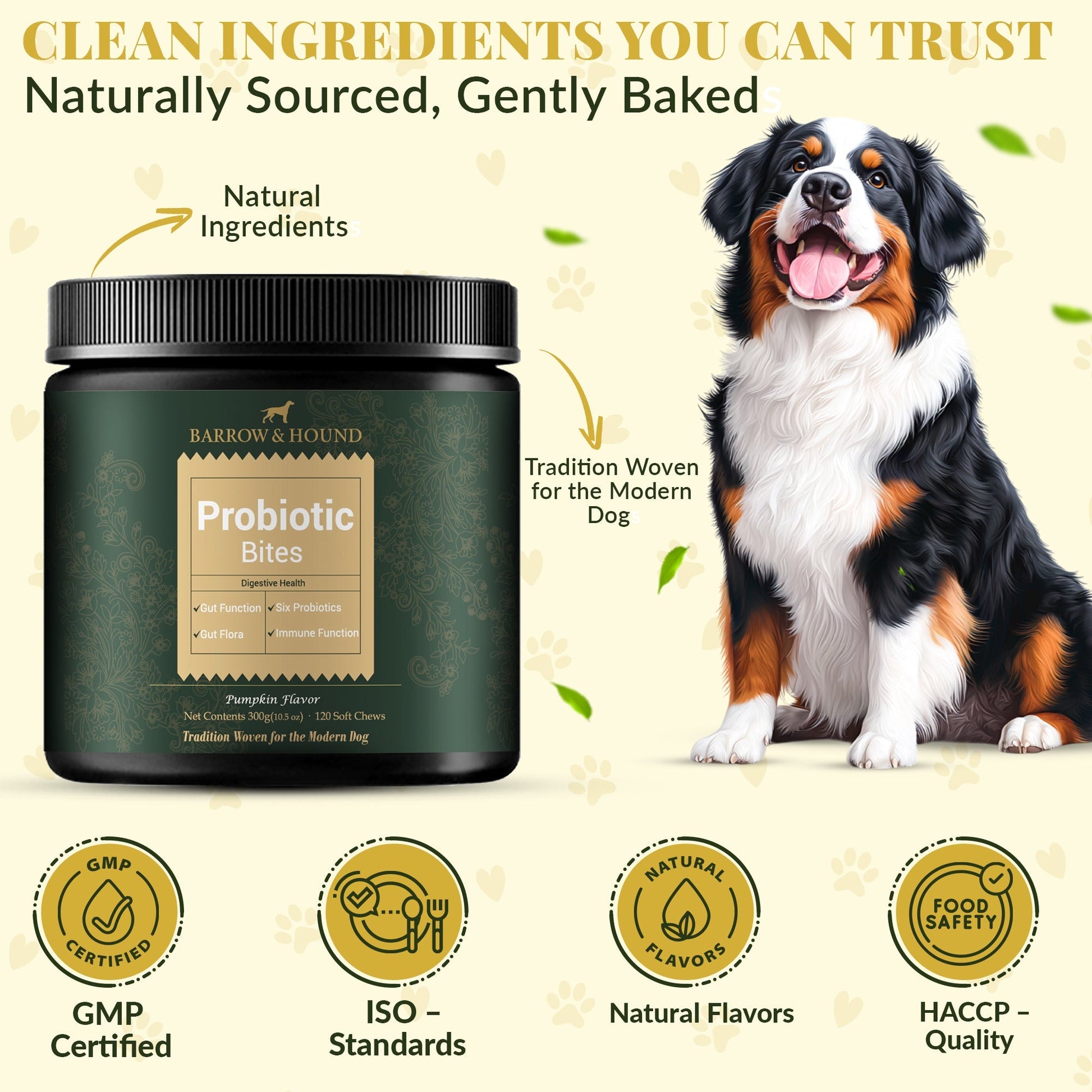 Probiotic Bites for Dogs – Gut Health & Digestive Support Supplements Barrow & Hound
