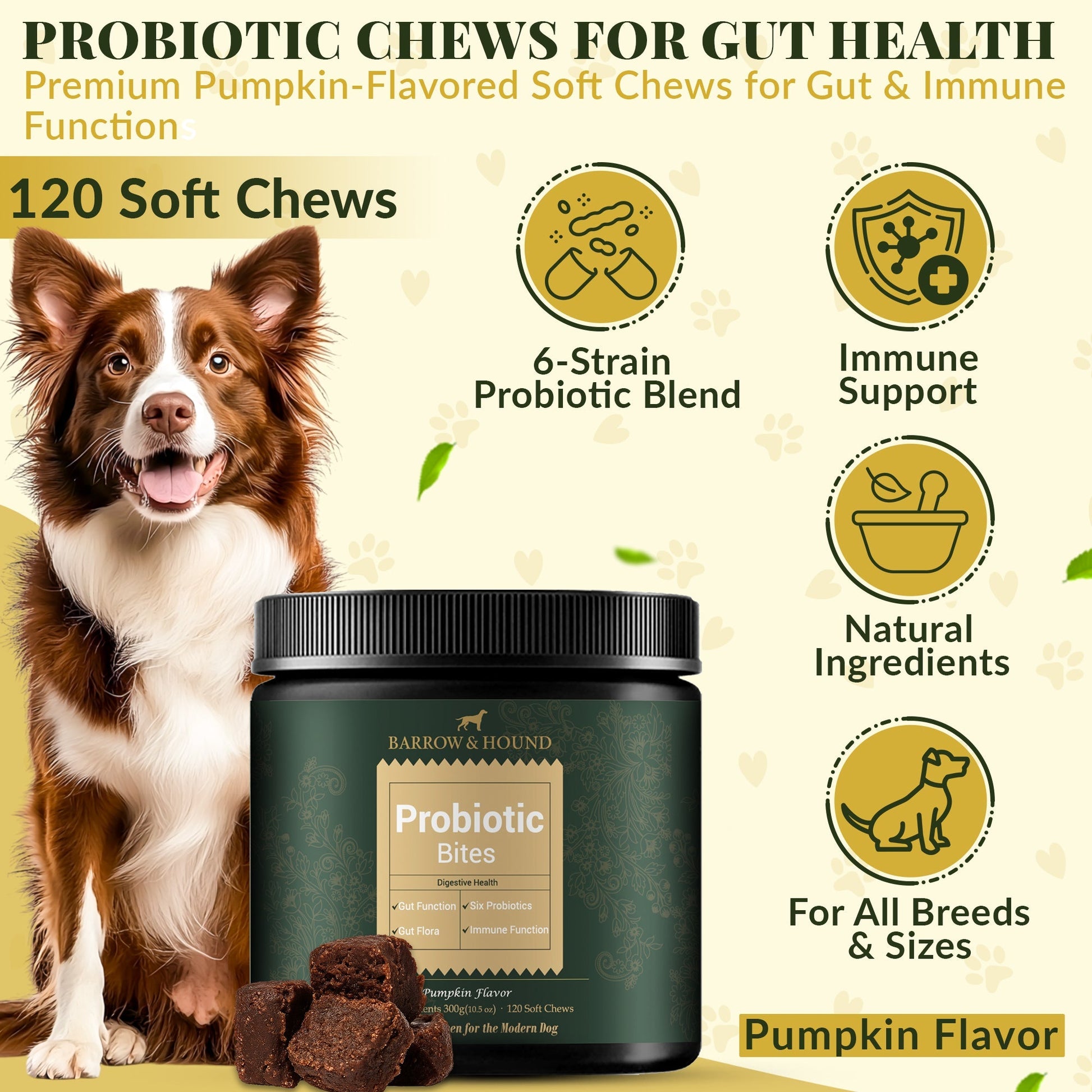 Probiotic Bites for Dogs – Gut Health & Digestive Support Supplements Barrow & Hound