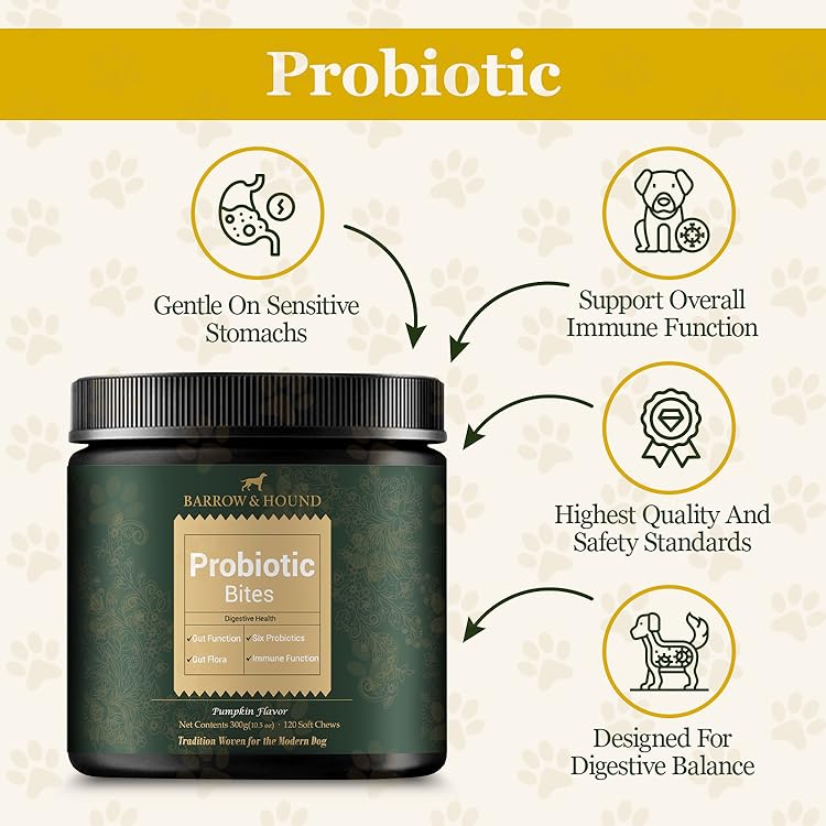 Probiotic Bites for Dogs – Gut Health & Digestive Support Supplements Barrow & Hound