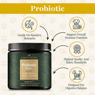 Probiotic Bites for Dogs – Gut Health & Digestive Support Supplements Barrow & Hound