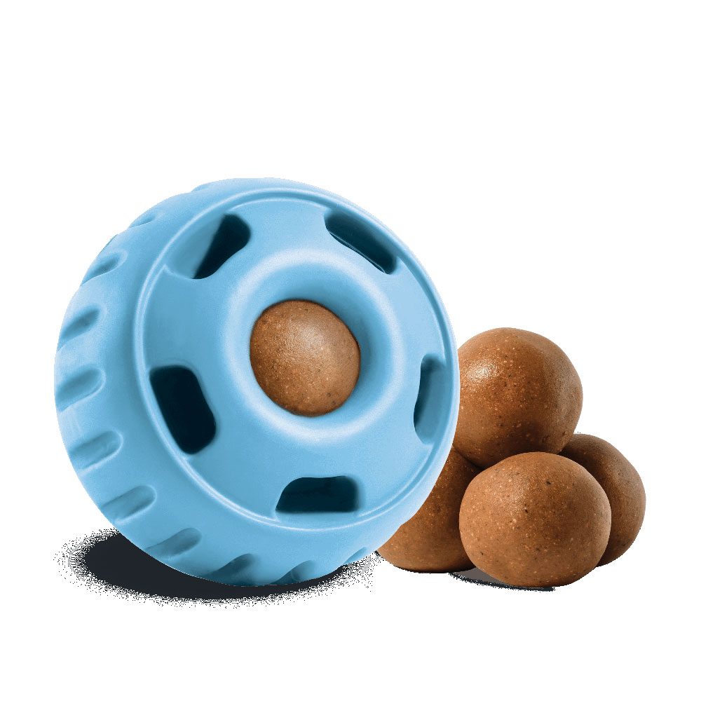 a light blue rubber ball with holes and a brown treat inside