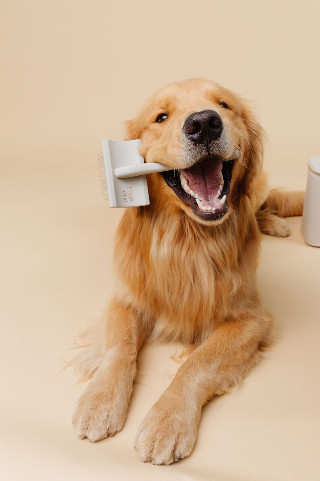 Everyday Slicker Brush Pupwell