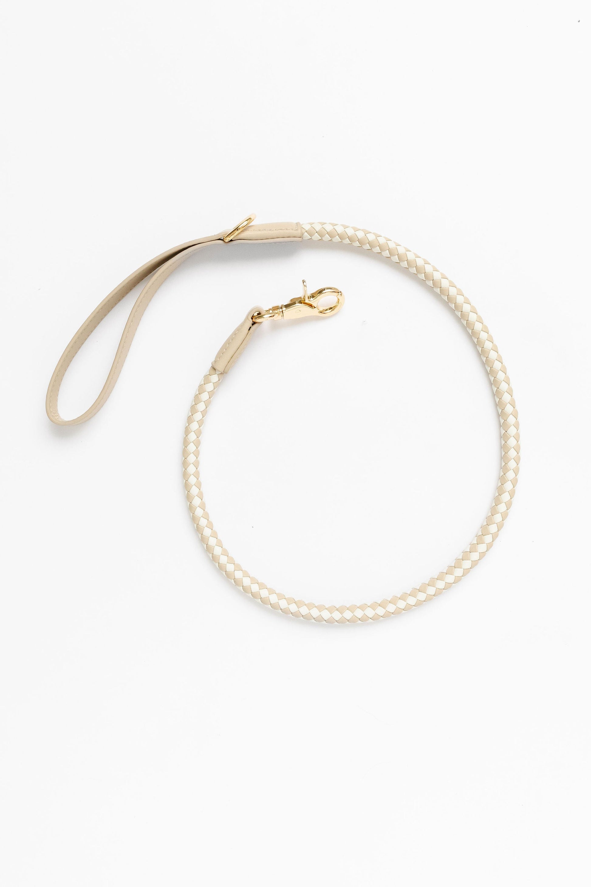 City Walk Kit Dog Supplies Pupwell