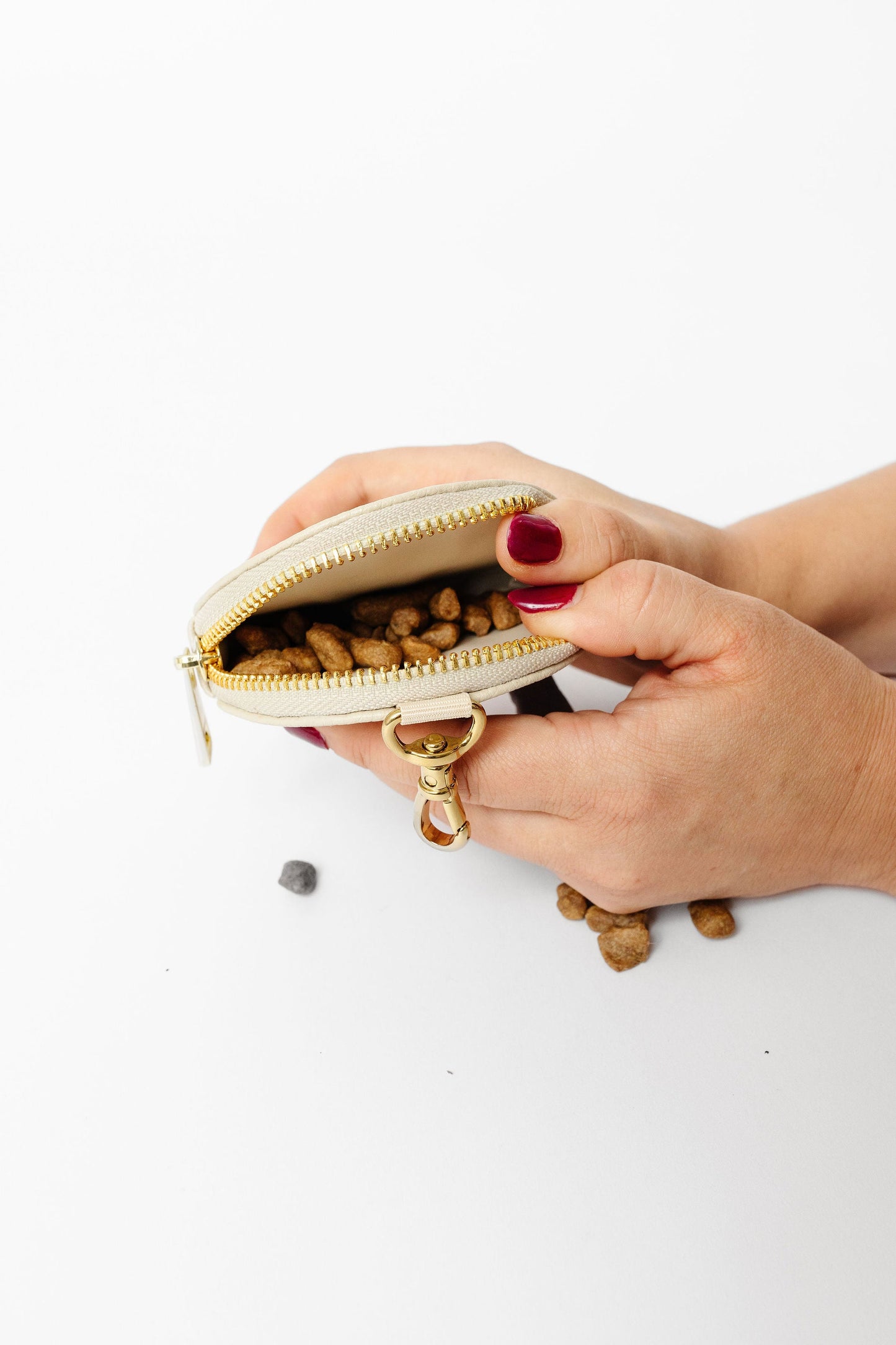 City Walk Kit Dog Supplies Pupwell