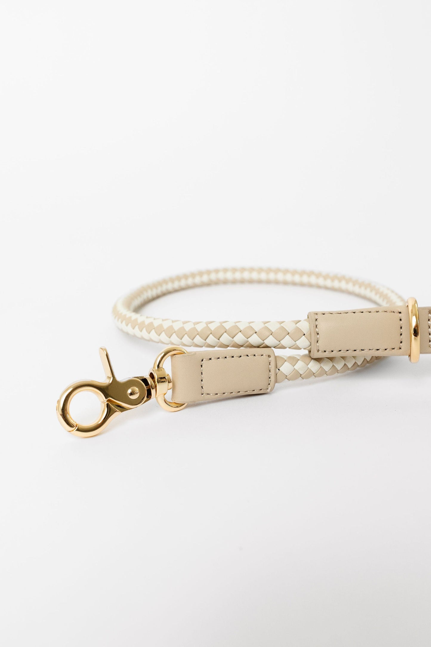 City Walk Kit Dog Supplies Pupwell