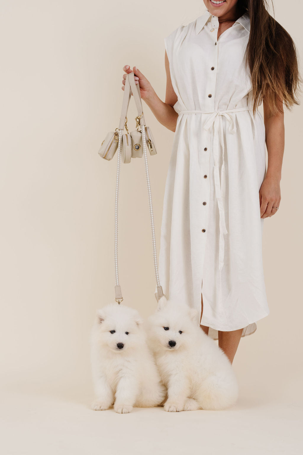 City Walk Kit Dog Supplies Pupwell