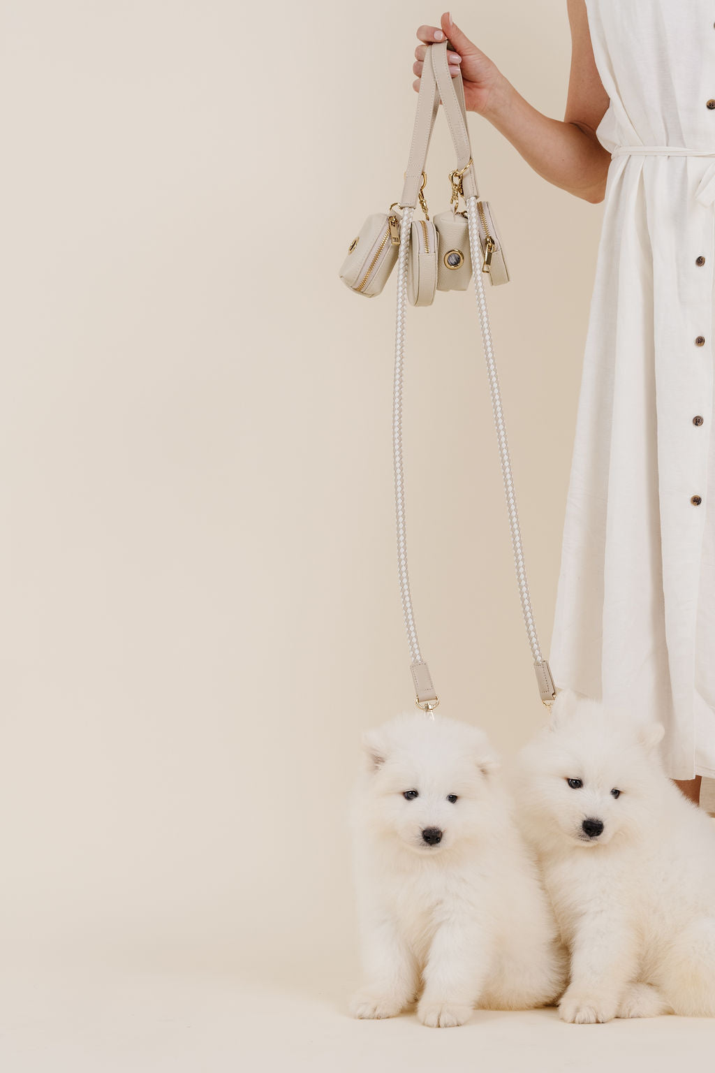 City Walk Kit Dog Supplies Pupwell