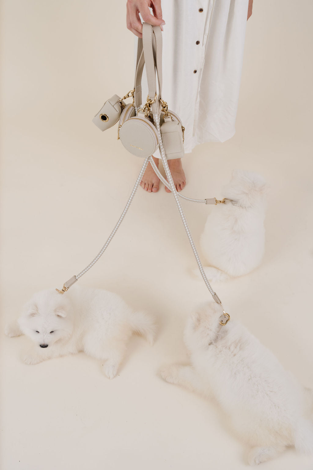 City Walk Kit Dog Supplies Pupwell