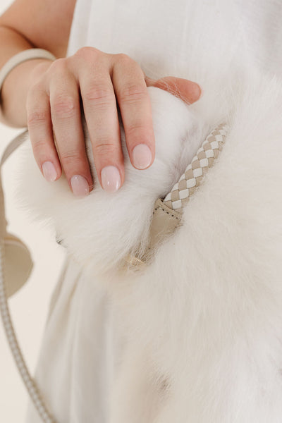 Rolled Collar Pupwell