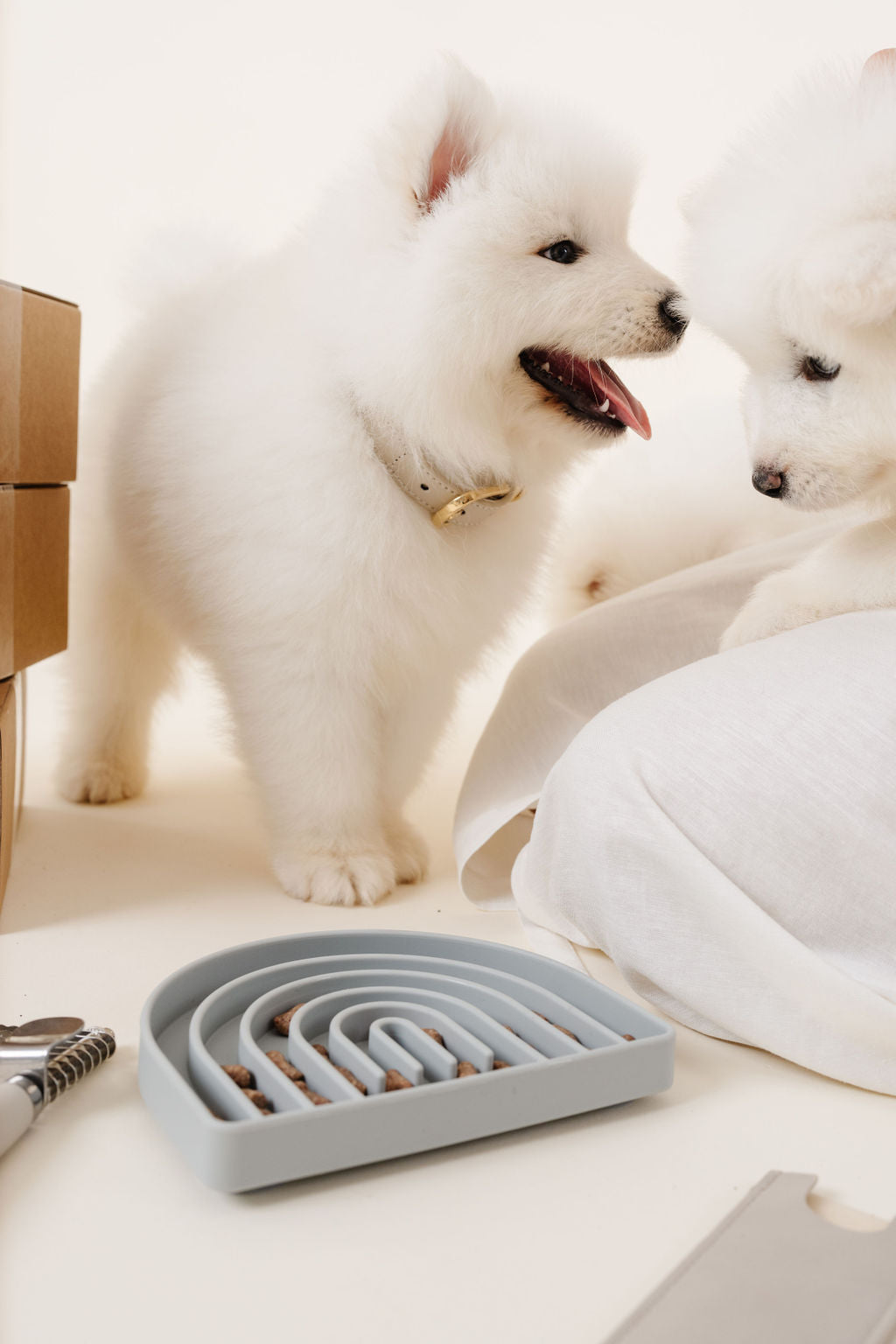 Rolled Collar Pupwell